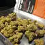 Patient Image of Lot420™ OC T27 Orange Cake Medical Cannabis