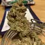 Patient Image of Mamedica® CHC T28 Chem Cookies #44 Medical Cannabis