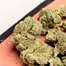 Patient Image of 4TP AFC T25 Animal Face Medical Cannabis