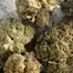 Patient Image of Upstate® CDR T22 Cinderella 99 Medical Cannabis