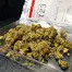 Patient Image of Noidecs T21 Gorilla Glue #4 Medical Cannabis