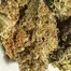 Patient Image of 4C Labs Core PGL T26 Platinum Garlic Medical Cannabis