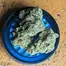 Patient Image of 4C Labs Core LMT T25 Lemonatti Medical Cannabis