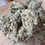 Patient Image of 4C Labs Core MAC T27 Miracle Alien Cookies Medical Cannabis