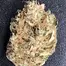 Patient Image of Aurora® T22 Delahaze Medical Cannabis