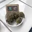 Patient Image of Noidecs T17 Night Queen Medical Cannabis