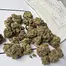 Patient Image of SafriCanna GT T23 Garlic Truffle Medical Cannabis