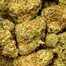 Patient Image of Kasa Verde GZP T26 Gazzurple Medical Cannabis