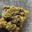 Patient Image of Curaleaf® PWE T11:C11 Pennywise Medical Cannabis