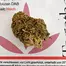 Patient Image of Together Pharmacy Cassiopeia T20 Ninja Medical Cannabis