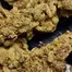 Patient Image of 4C Labs Value AKF T18 Alien Koffee Medical Cannabis