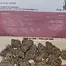 Patient Image of Vasco Cipher BL T27 Blue Lobster Medical Cannabis