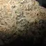 Patient Image of 4C Labs Craft DZI T32 Dante'z Inferno Medical Cannabis