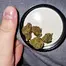 Patient Image of Lumir® SM9 T24 Strawberry Malawi Medical Cannabis