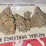 Patient Image of HighGreens AS T27 Atomic Slurricane Medical Cannabis