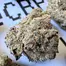 Patient Image of Mamedica® PSL T25 Purple Punch Medical Cannabis