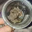 Patient Image of CannFX ZA T32 Zangria Medical Cannabis
