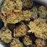 Patient Image of Althea™ T18 Girl Scout Cookies Medical Cannabis
