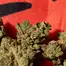 Patient Image of Upstate® BTR T24 Black Triangle Medical Cannabis