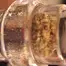 Patient Image of Ostara GC T30 Gas Cake Medical Cannabis