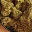 Patient Image of Packs™ T24 RS-11 Medical Cannabis
