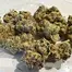 Patient Image of Headstone Cannabis WP T28 Wedding Punch Medical Cannabis