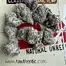 Patient Image of Green Karat KS T27 King Sherb Medical Cannabis
