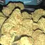 Patient Image of Big Narstie Medical GK T28 Gorilla Kush Medical Cannabis