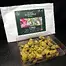 Patient Image of 4C Labs DBG T21 Donny Burger Medical Cannabis