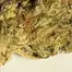 Patient Image of 4C Labs Core PGL T26 Platinum Garlic Medical Cannabis