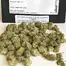 Patient Image of Phant SGU Smalls T22 Strawberry Guava Medical Cannabis