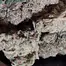 Patient Image of Mamedica® STG T27 Strawberry Grail Medical Cannabis