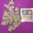 Patient Image of 4C Labs Value CRL T29 Crumbled Lime Ten Medical Cannabis