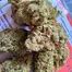 Patient Image of IPS MC T22 Mandarin Cookies Medical Cannabis