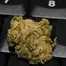 Patient Image of EcoCann Access LEM T20 Lemon Tree Medical Cannabis