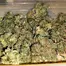 Patient Image of MedCan Isando T16-17 Birthday Cake Medical Cannabis