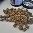 Patient Image of Big Narstie Medical MG T15 Minted Grape Medical Cannabis