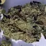 Patient Image of Redecan BC T25 Beach Crasher Medical Cannabis