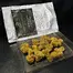 Patient Image of Green Karat PV T30 Pavé S1 Medical Cannabis