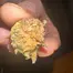 Patient Image of Sundaze® PP T25 Purple Punch Medical Cannabis