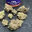 Patient Image of Herdade das Barrocas TZE T24 Tigerz Eye Medical Cannabis