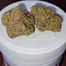 Patient Image of Aurora® Pedanios FLH T25 Frozen Lemon Haze Medical Cannabis