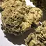 Patient Image of Glass Pharms® CC T28 Chem de la Chem Medical Cannabis
