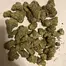 Patient Image of Phant SGU Smalls T22 Strawberry Guava Medical Cannabis