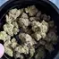 Patient Image of Lumir® KSC T26 Kush Cookies Medical Cannabis