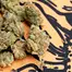 Patient Image of 4TP AFC T25 Animal Face Medical Cannabis