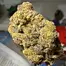 Patient Image of Superseed CK CTY T28 Cake City Medical Cannabis