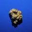 Patient Image of 4C Labs Core GMO-AC T26 GMO Animal Cookies Medical Cannabis