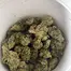 Patient Image of Curaleaf® TPI T20 Tripoli Medical Cannabis