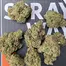Patient Image of Green Karat LM T27 London Marker Medical Cannabis